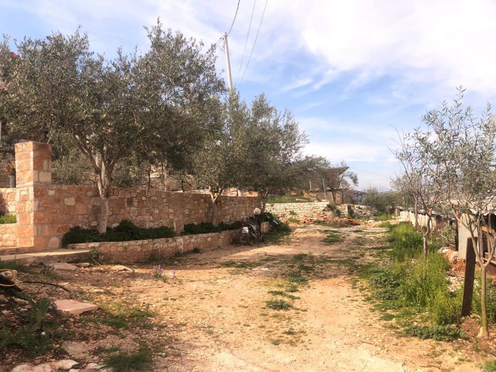 סרנדה Vokopola Villa מראה חיצוני תמונה